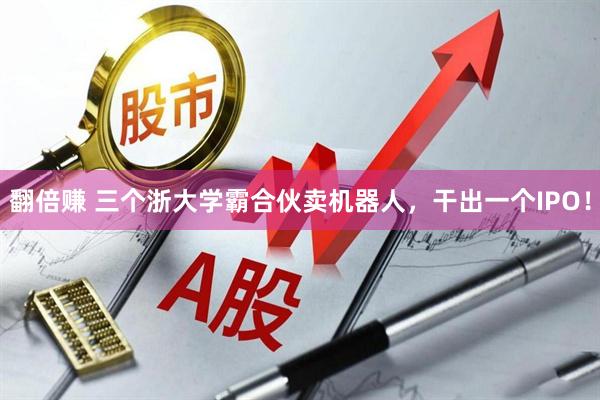 翻倍赚 三个浙大学霸合伙卖机器人，干出一个IPO！