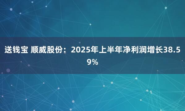 送钱宝 顺威股份：2025年上半年净利润增长38.59%