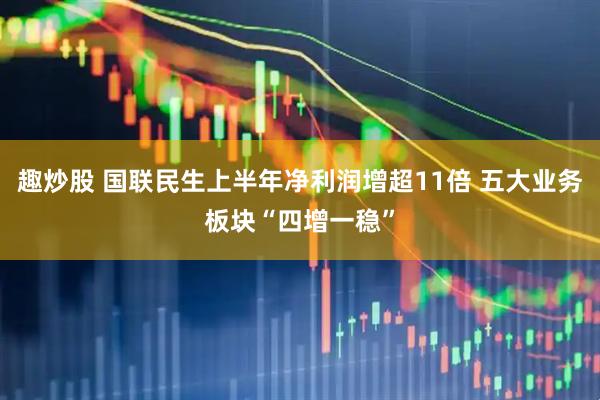 趣炒股 国联民生上半年净利润增超11倍 五大业务板块“四增一稳”