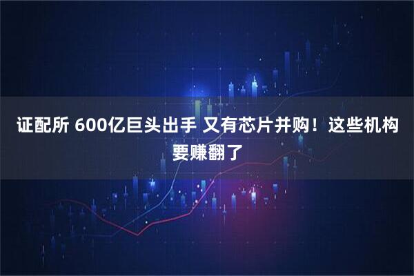 证配所 600亿巨头出手 又有芯片并购！这些机构要赚翻了