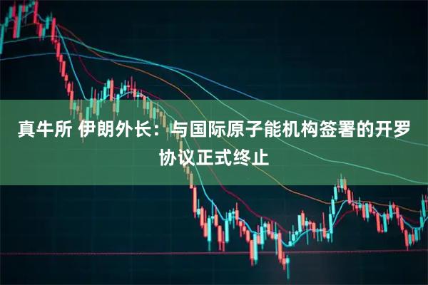 真牛所 伊朗外长：与国际原子能机构签署的开罗协议正式终止