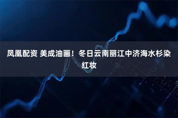 凤凰配资 美成油画！冬日云南丽江中济海水杉染红妆