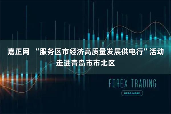 嘉正网  “服务区市经济高质量发展供电行”活动走进青岛市市北区