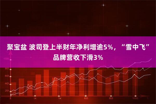 聚宝盆 波司登上半财年净利增逾5%，“雪中飞”品牌营收下滑3%